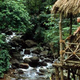 Illustration for article titled Bellavista's Biodigesting Treehouses Are Endor on Earth